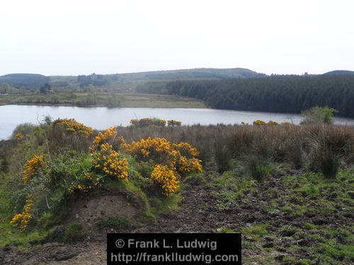 Lough Nasool Drained (2006)